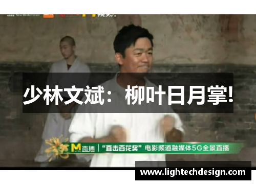 少林文斌：柳叶日月掌!